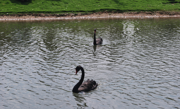 1562383036913666.jpg 20140804162837_82265.jpg