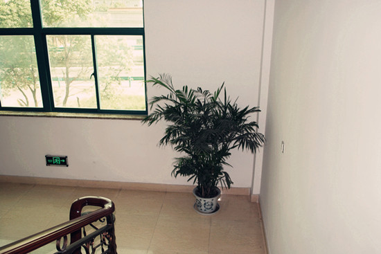 1562389271157193.jpg 14441829686865.jpg