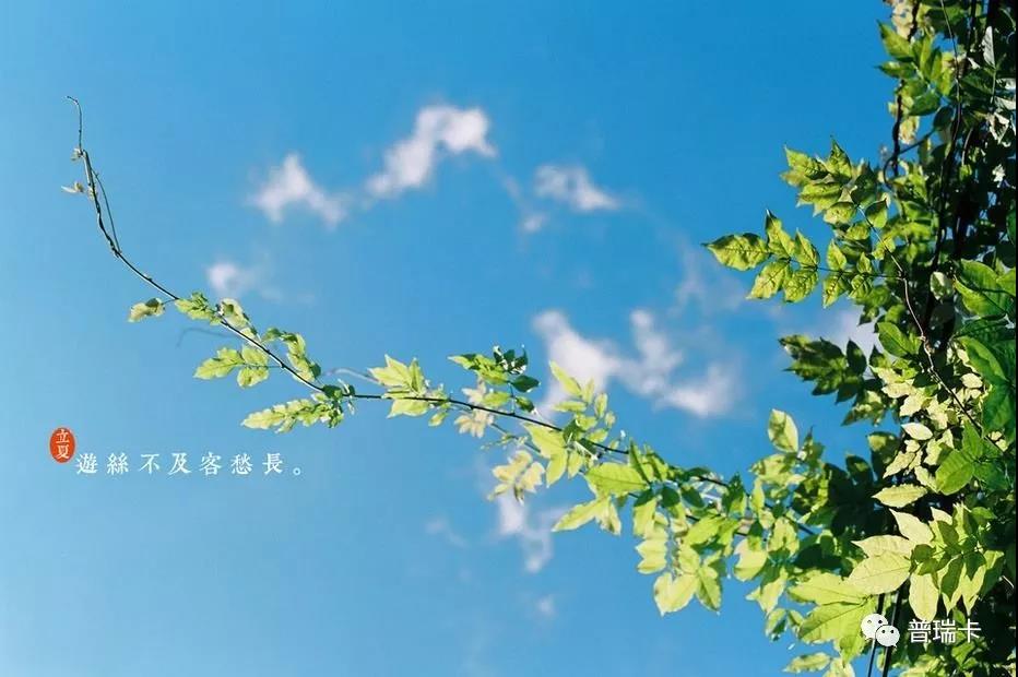 1566799783172595.jpg 微信圖片_20190826140920.jpg